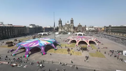 El 'Jardín del Buen Amor' Extiende su Encanto Floral en el Zócalo de CDMX: Miles de Flores, Cine y Música en Vivo Hasta el 22 de Febrero
